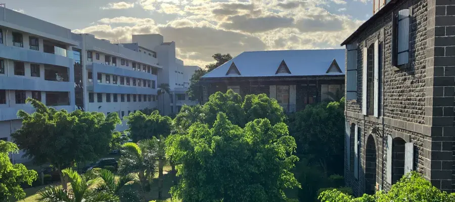 Old basalt stone buildings and modern white offices among lush trees in Port Louis, near Saint-Louis Cathedral