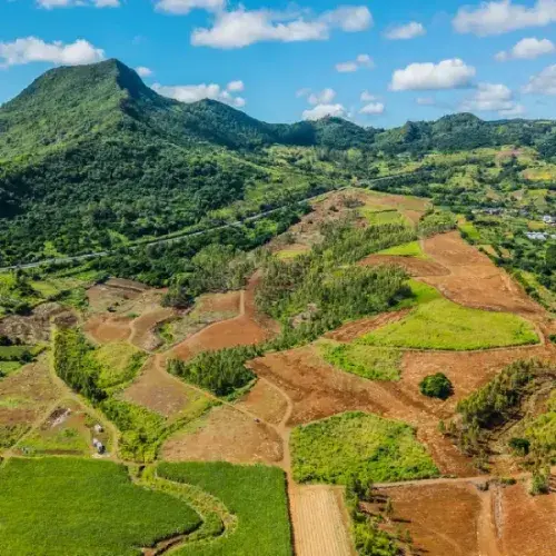 Aerial view of Domaine de Crève-Cœur agricultural lots with red soil fields and green crops below a forested mountain