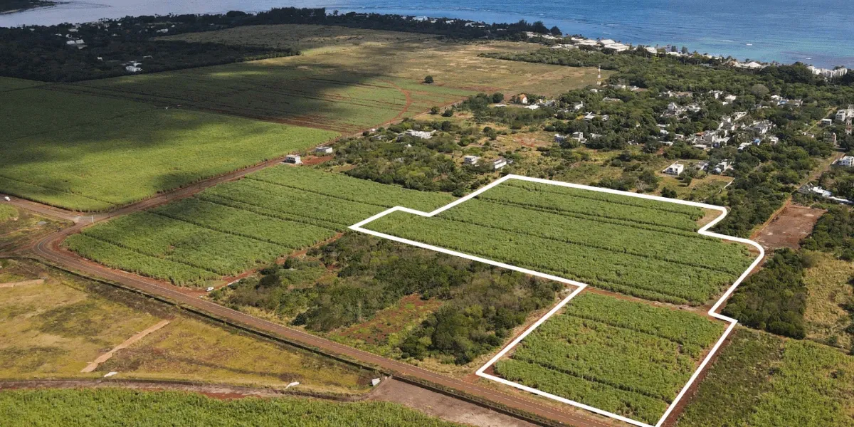 Aerial view of agricultural plots outlined in white near Pointe aux Piments, with houses and the sea beyond
