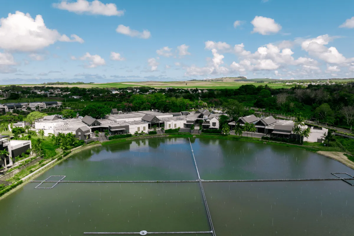 Aerial view of Beau Plan buildings with grey pitched roofs beside a large pond, surrounded by greenery and fields