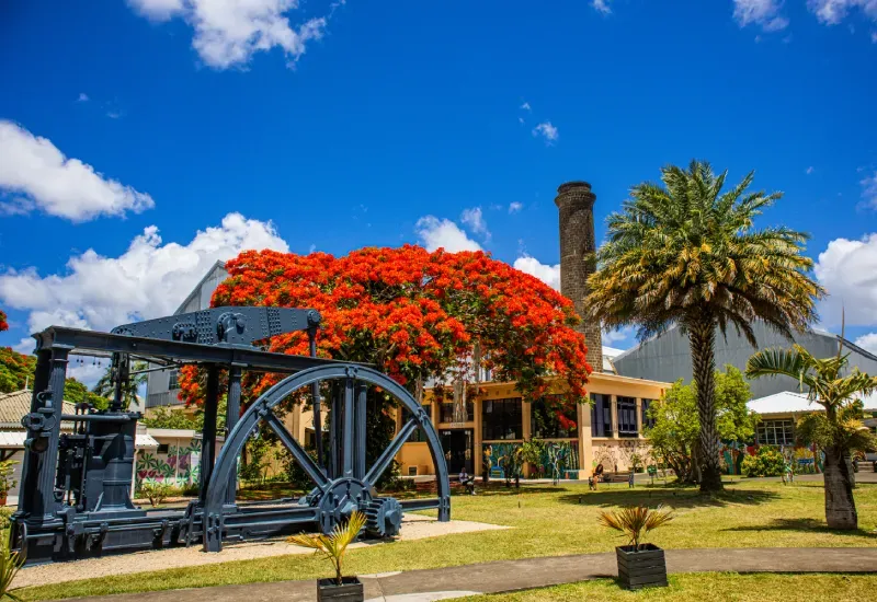 L'Aventure du Sucre museum in a former sugar factory, with an old steam engine flywheel, red flame tree and stone chimney
