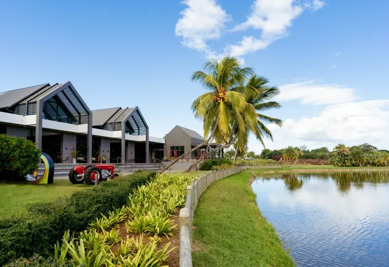 Mahogany Shopping Promenade buildings with gabled roofs beside the Beau Plan lake, palm trees and a vintage red tractor