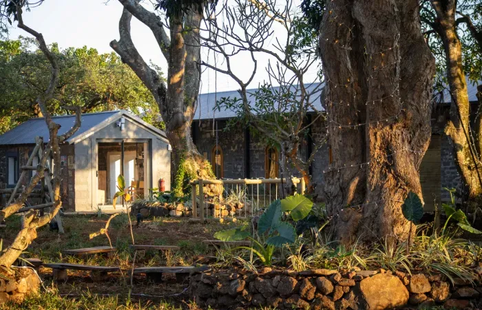 HEI Schools Mauritius in Forbach, a restored stone sugar estate building and modern pavilion among large old trees