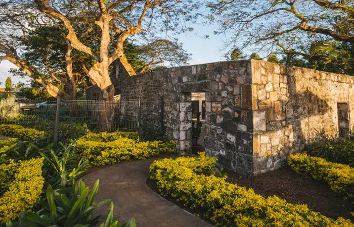 Restored stone ruins at Mon Rocher framed by century-old trees, yellow shrubs and a curving garden path