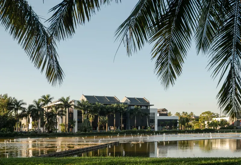 The Strand office buildings in Beau Plan seen across the lake with fountains, framed by palm trees under a clear sky