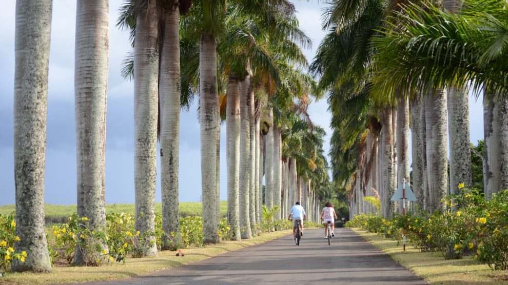 Novaterra - Les Muguets - Beau Plan Smart City