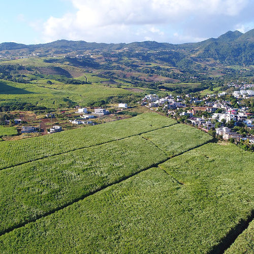 Montagne Longue - Novaterra