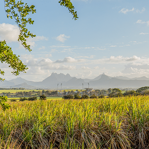 Les coteaux de Belle vue 