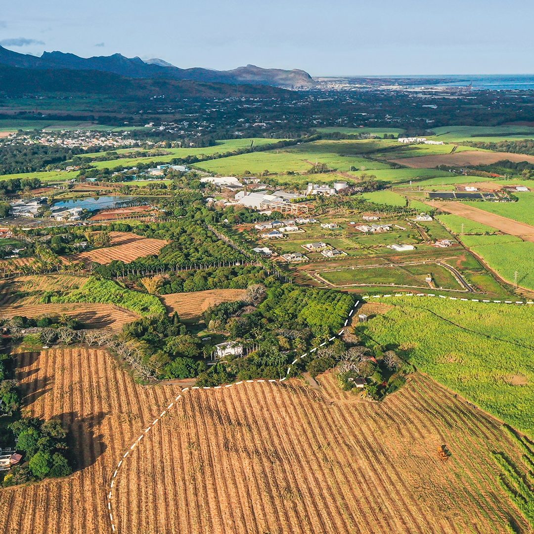 Les muguets - Phase 2