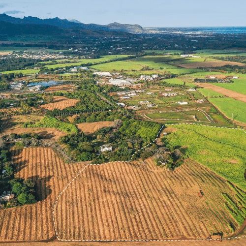 Les Muguets - Phase 2