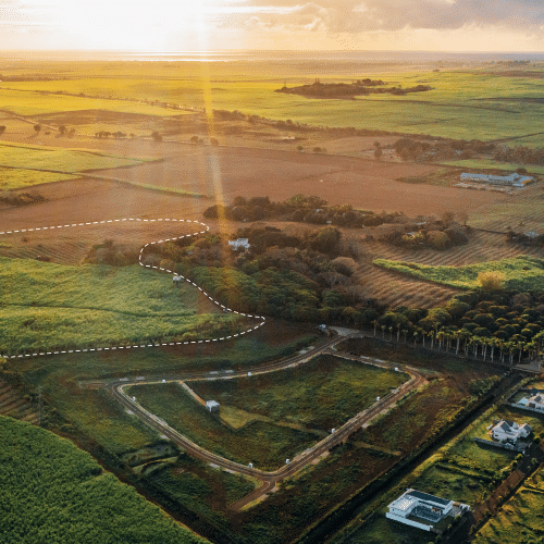 Les Muguets - Phase 2