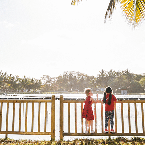 Les Muguets - Phase 2