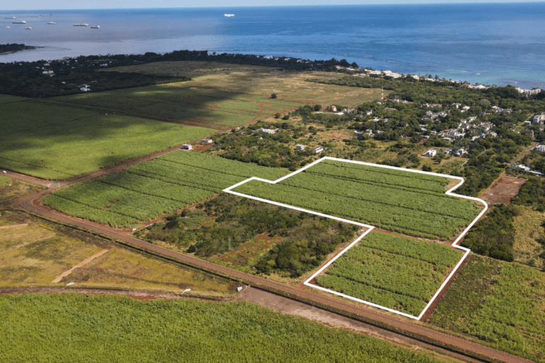 Investing in Agricultural Land: An Affordable Opportunity to Grow Your Capital