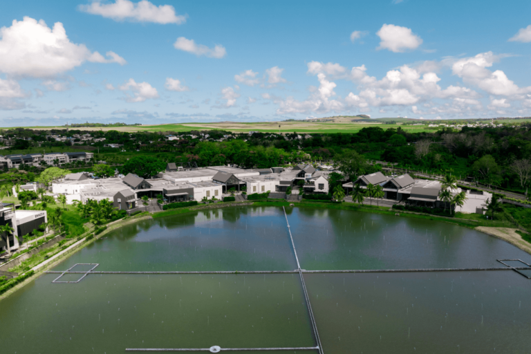 Novaterra’s Commitment to Beau Plan Better Construction Practices