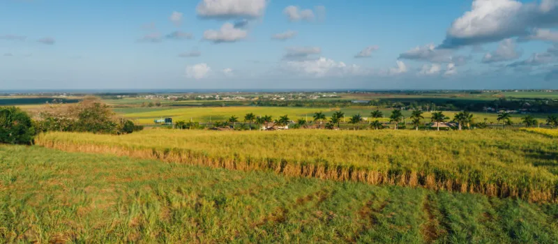 terres agricoles