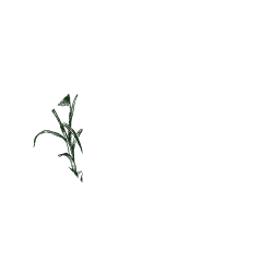 souvenir logo